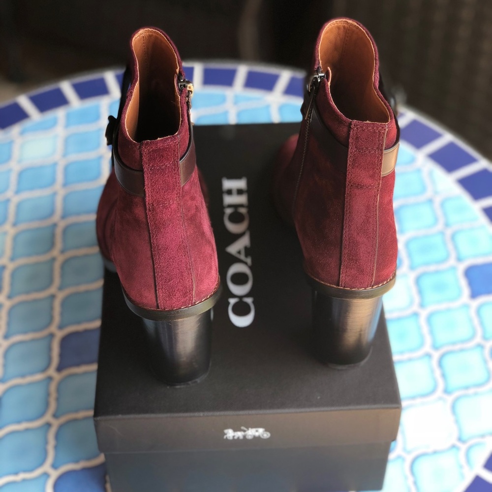 Coach Moto Booties - Picture 5 of 8